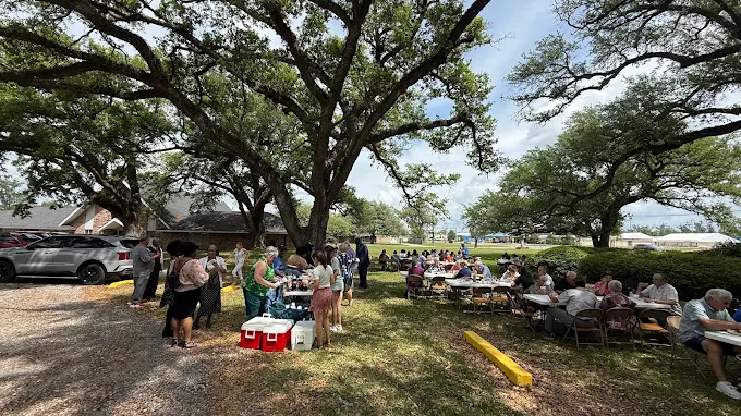 Fellowship gathering under the oaks